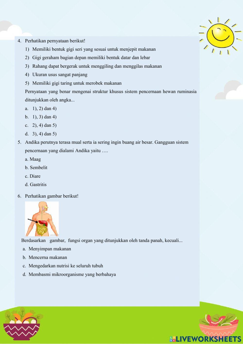 Sistem Pencernaan-Tema 3 Subtema 2 Kelas 5 SD