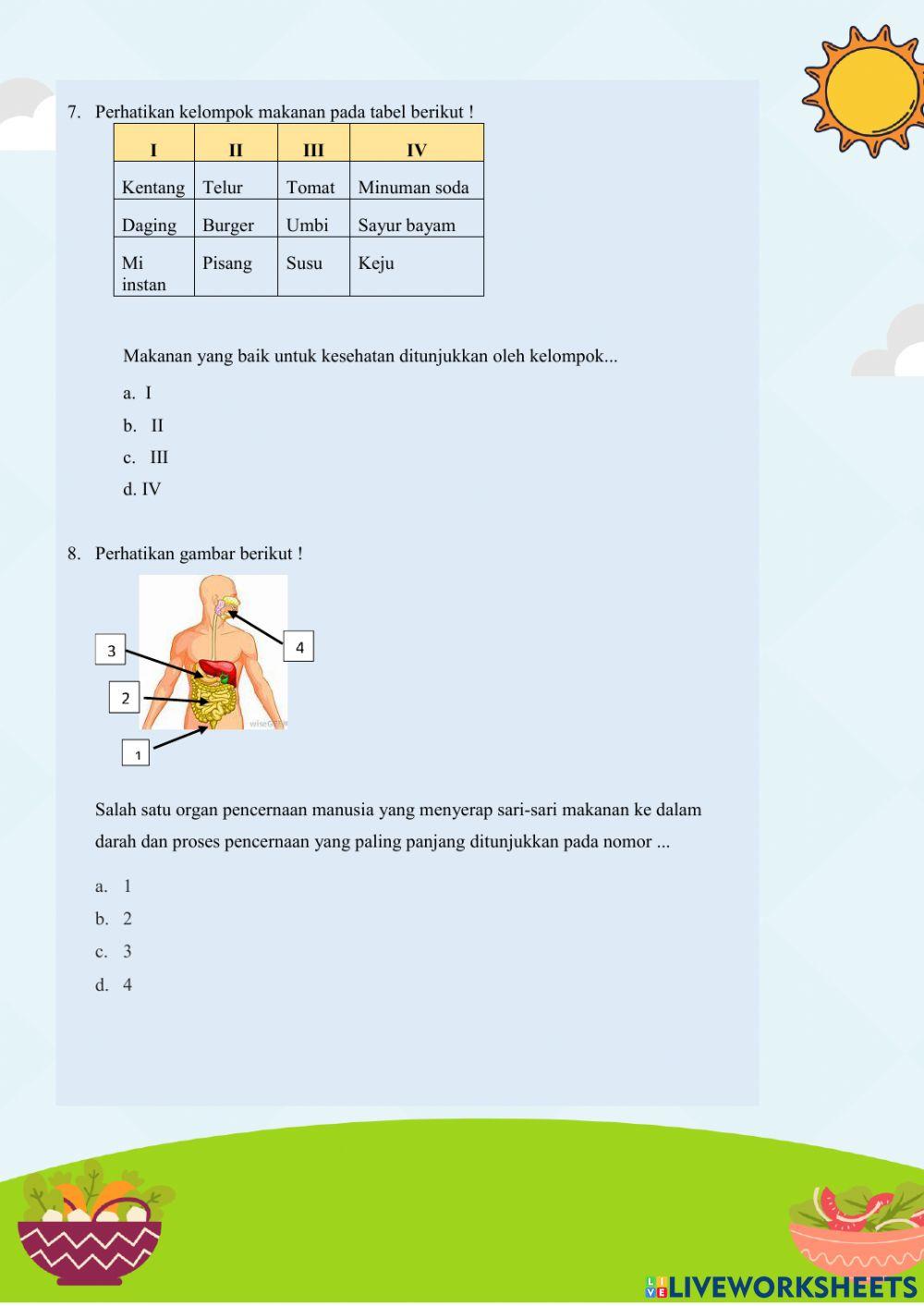 Sistem Pencernaan-Tema 3 Subtema 2 Kelas 5 SD