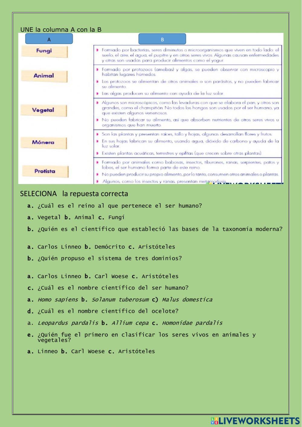 Recuperación Iparcial 8