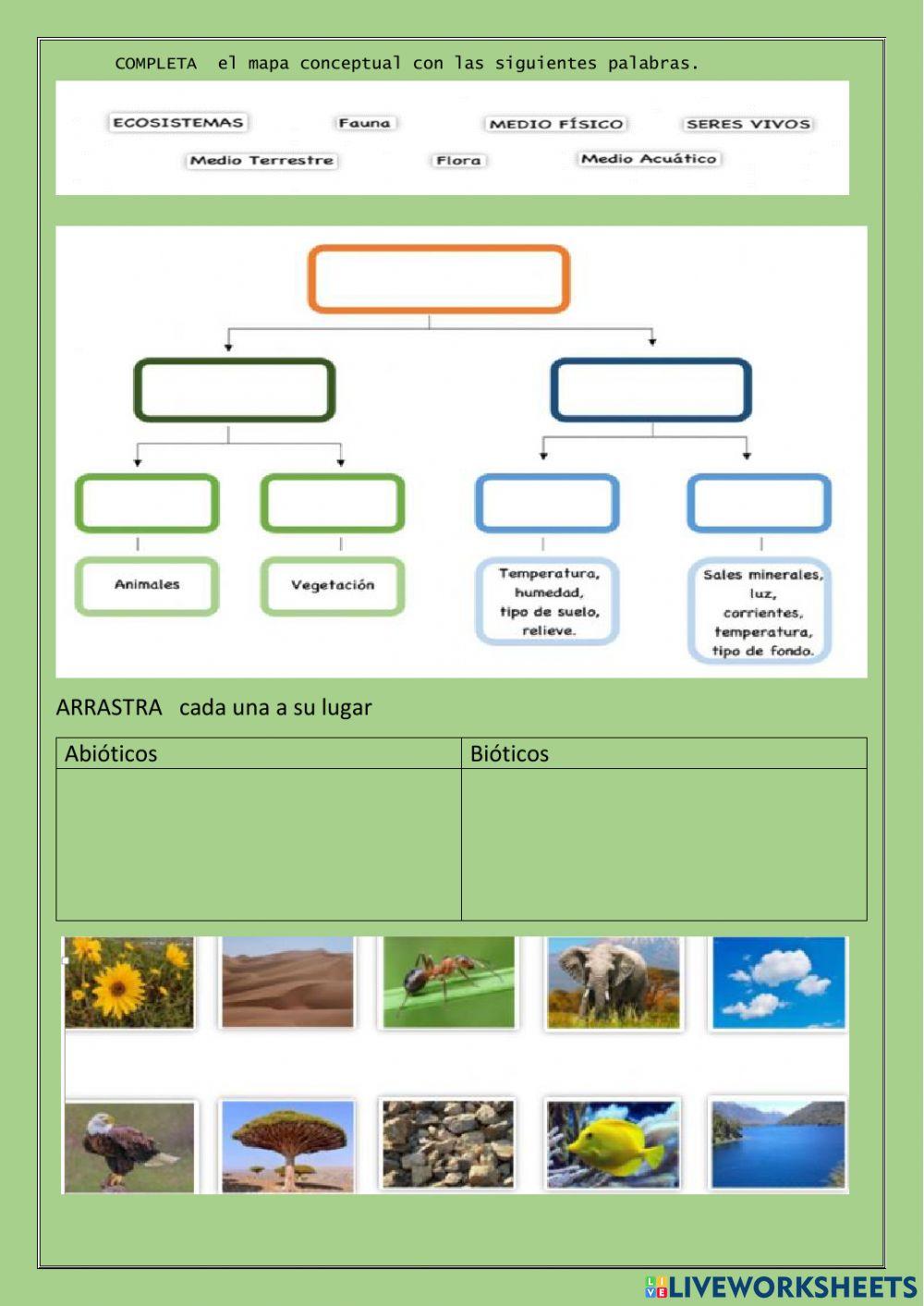 Recuperación Iparcial 8