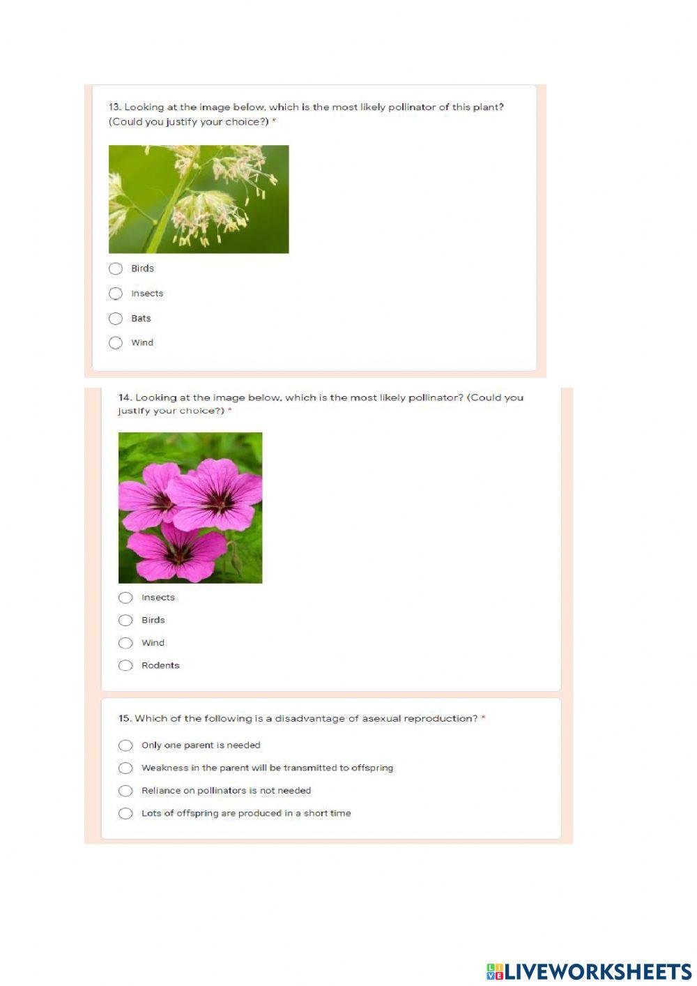 Gr 11 Plant diversity