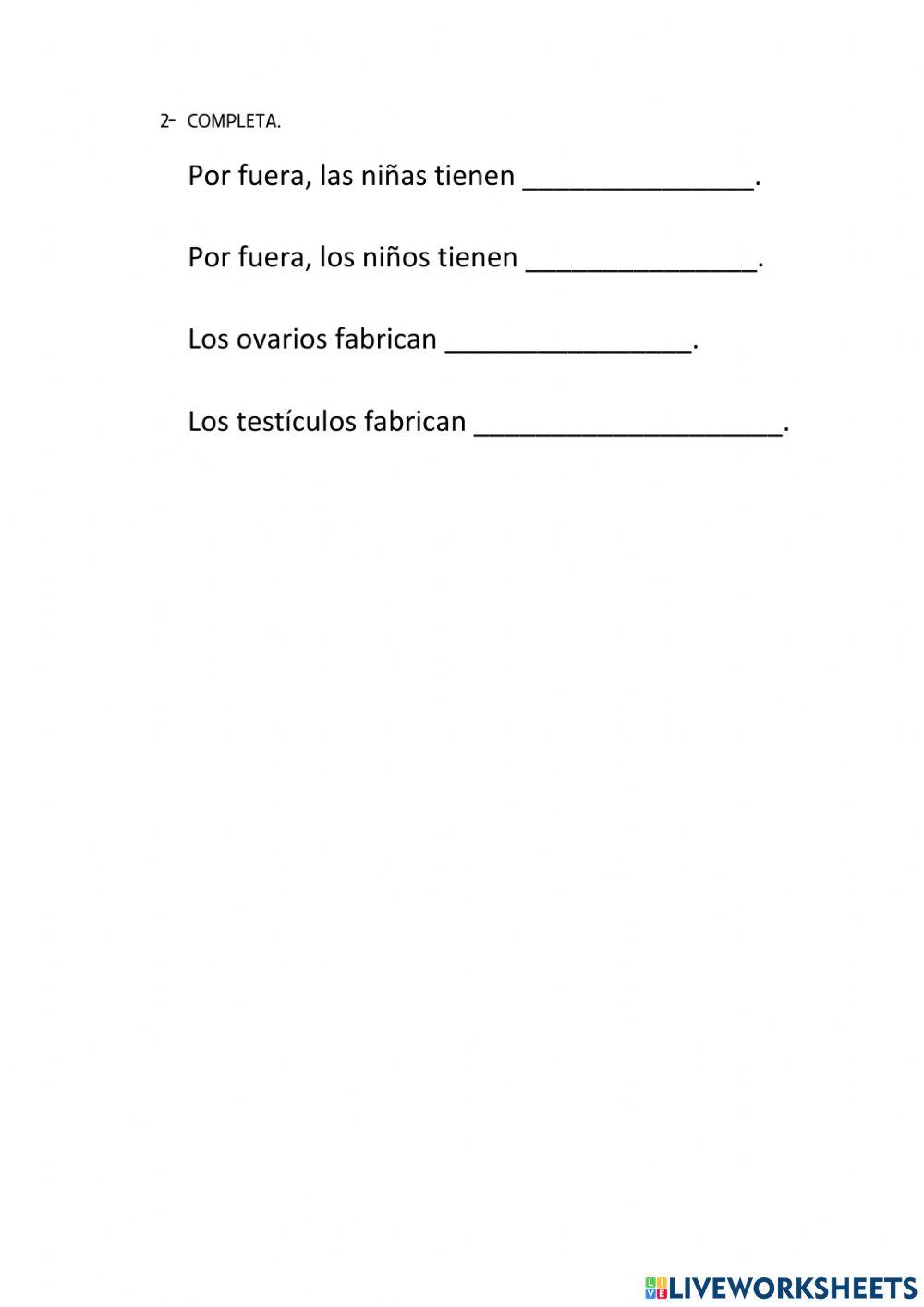 Función de reproducción