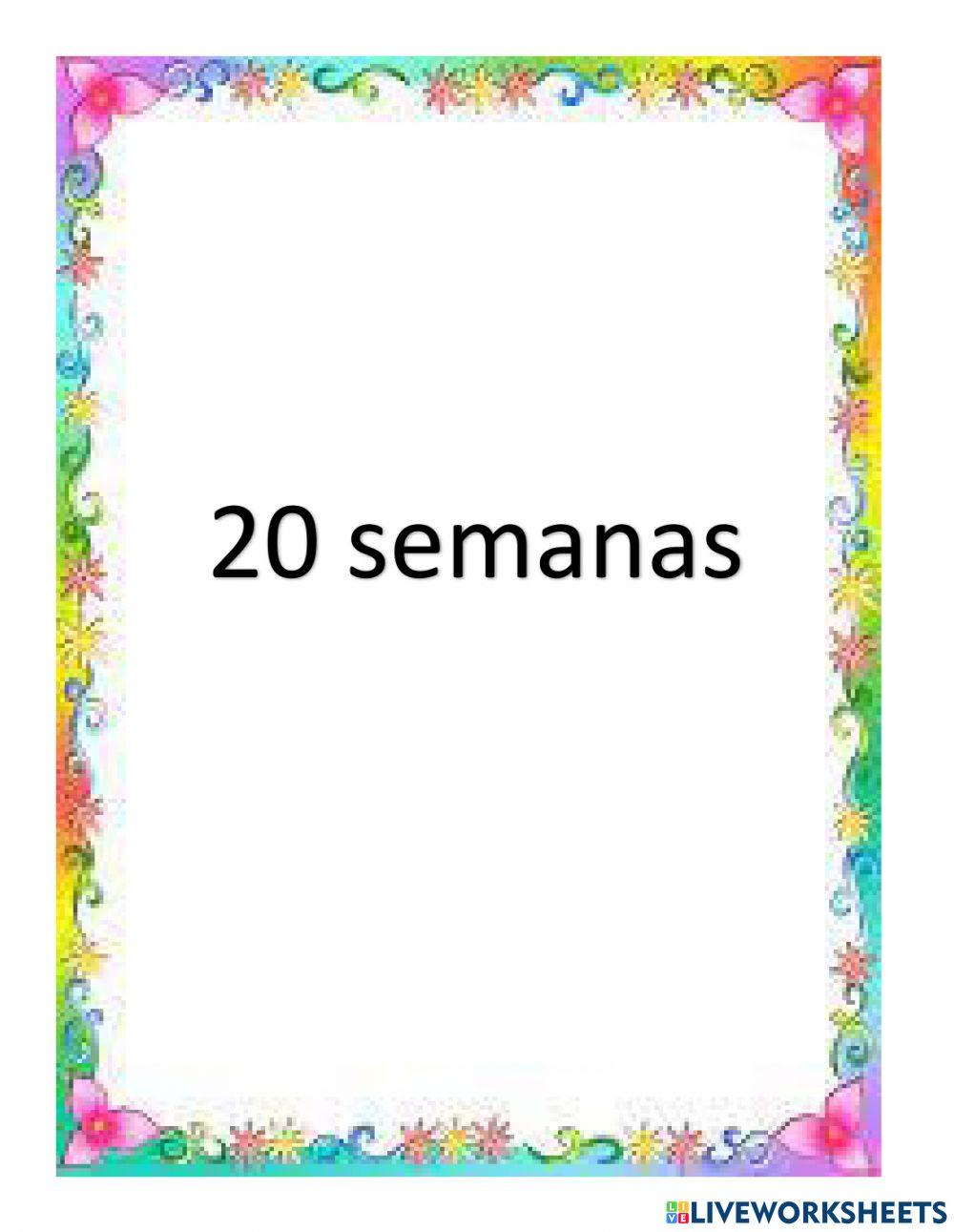 20 sem