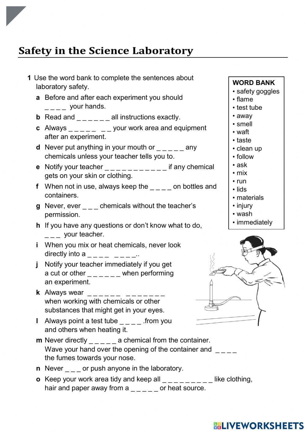 safety-in-the-science-laboratory-worksheet-live-worksheets