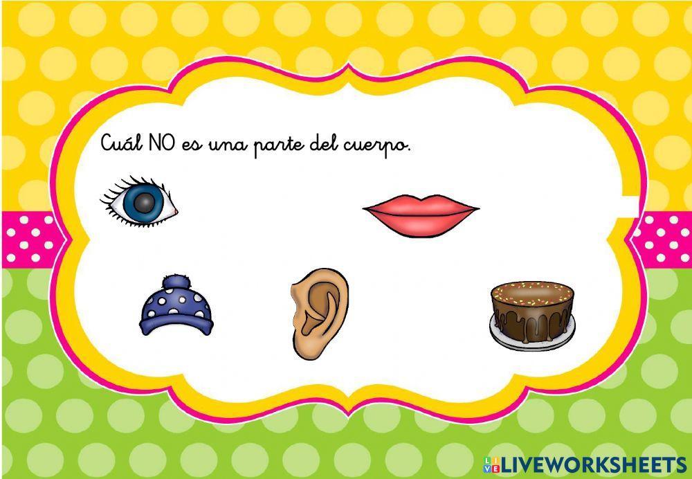 Comprensión de frases afirmativas y negativas