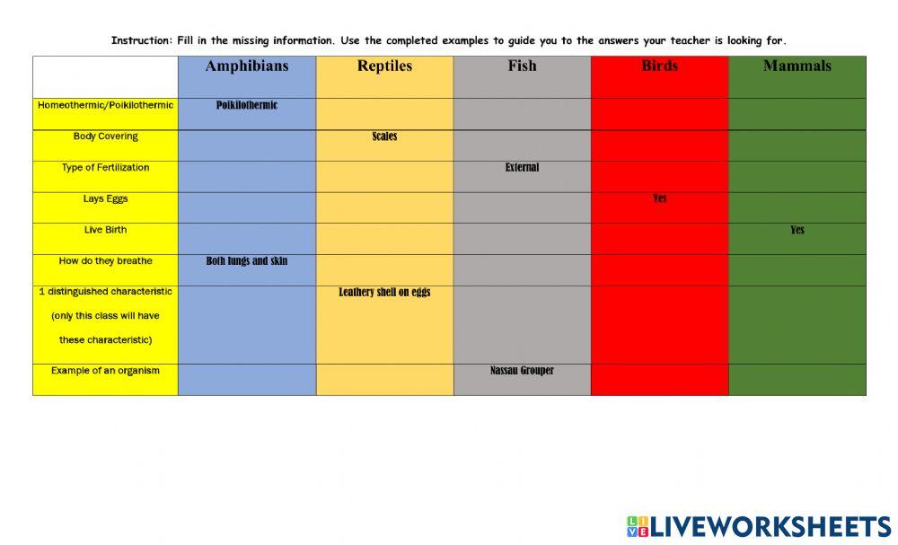 Comparison of Animal Classes Comparison of Animal Classes