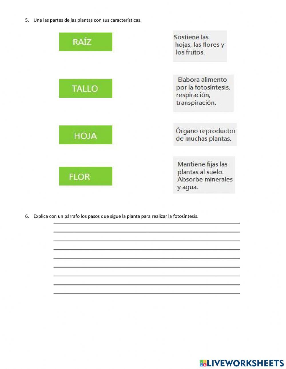 Evaluación 1r bloque Ciencias naturales