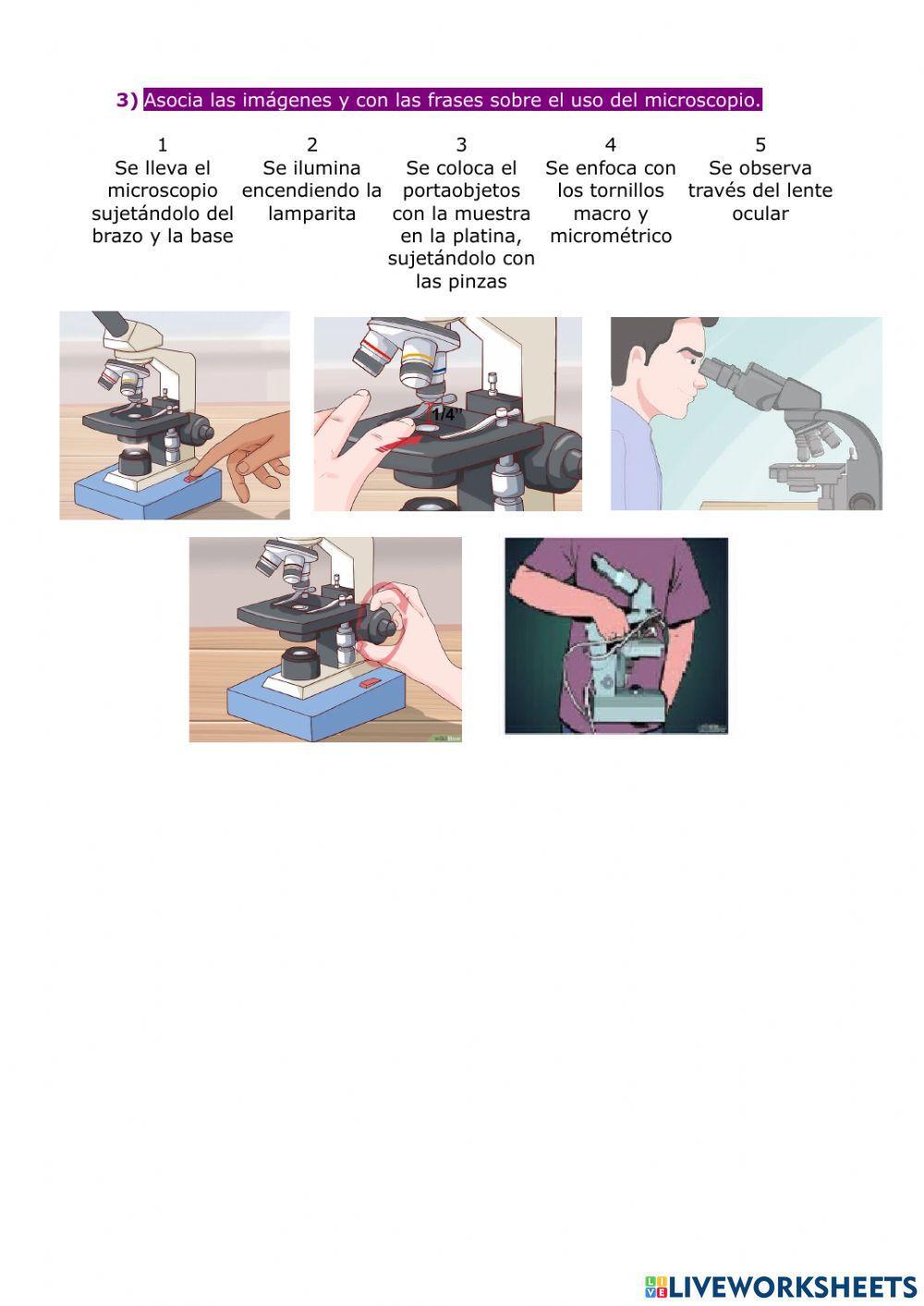 Microscopio óptico Microscopio óptico