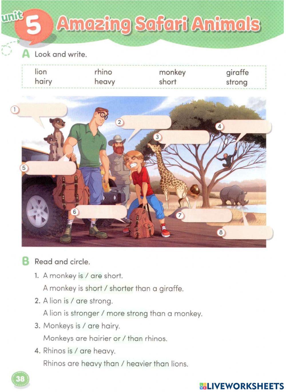 Hang On Hang Out 4 Pdf