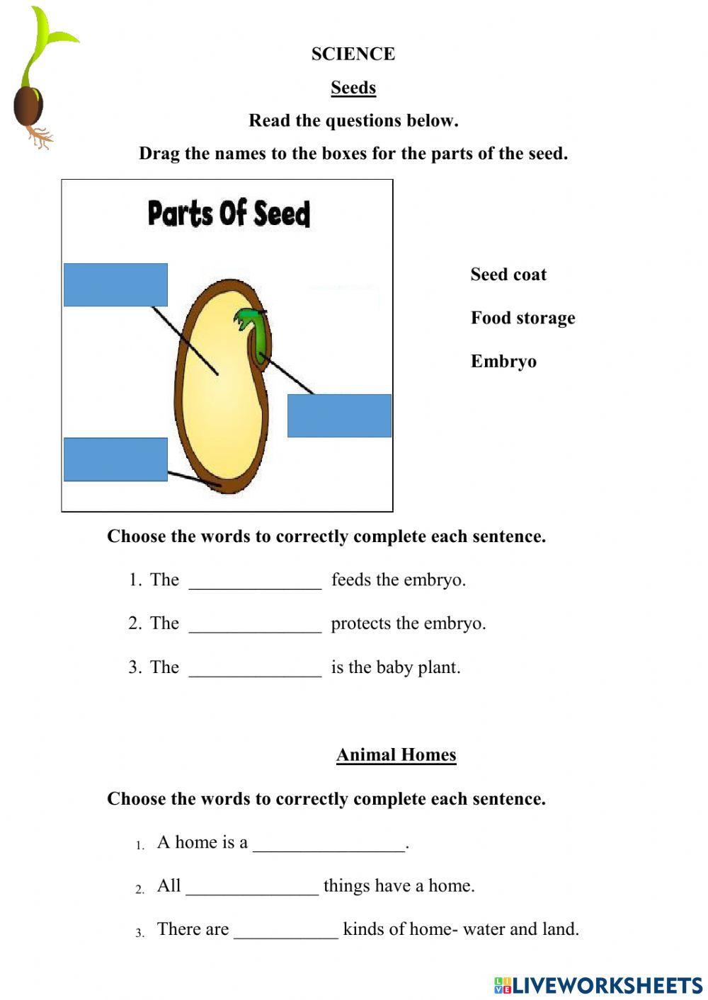 Weekly test week6 term1