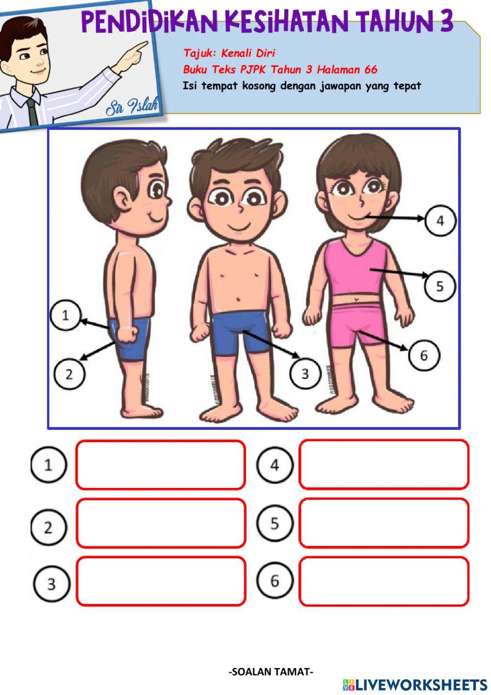 Pendidikan Kesihatan Tahun 3-Kenali Diri