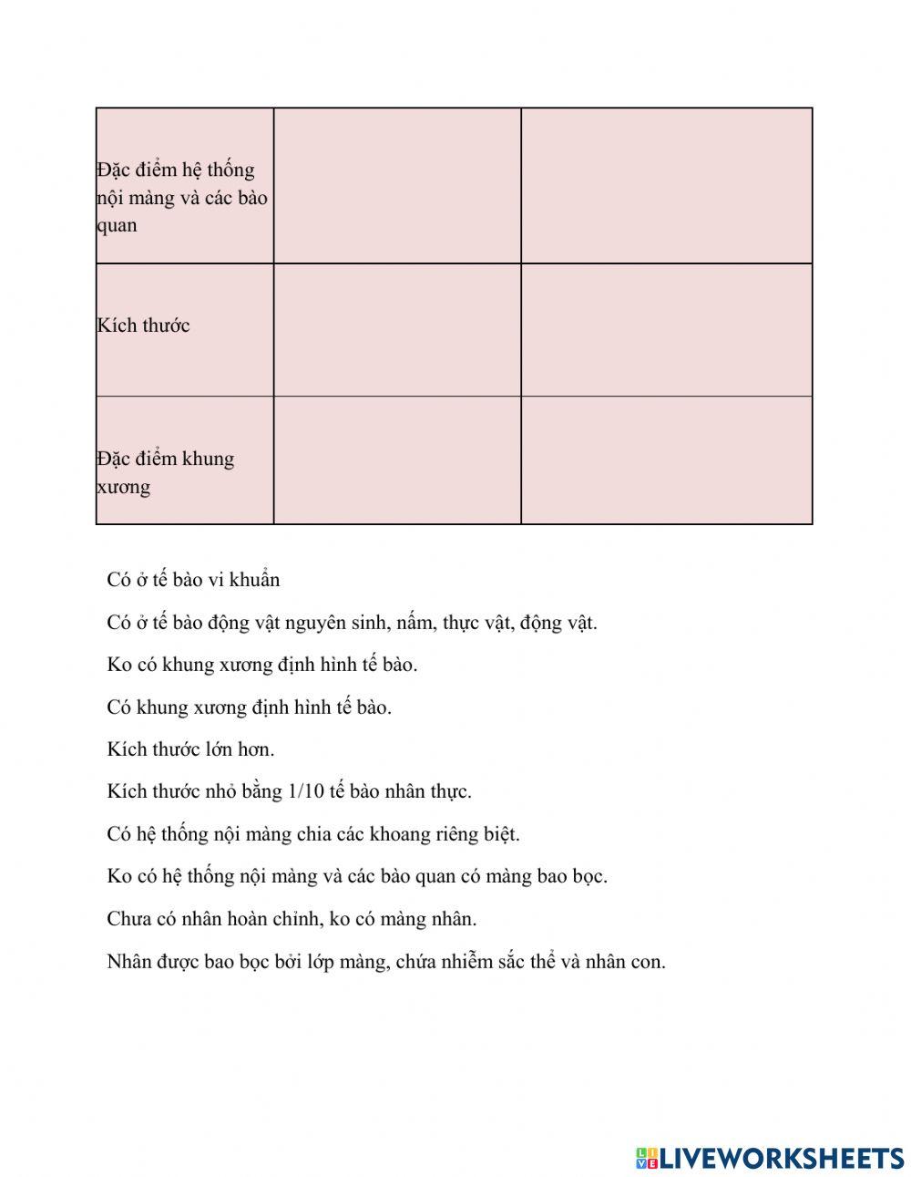 TB nhân sơ và nhân thực