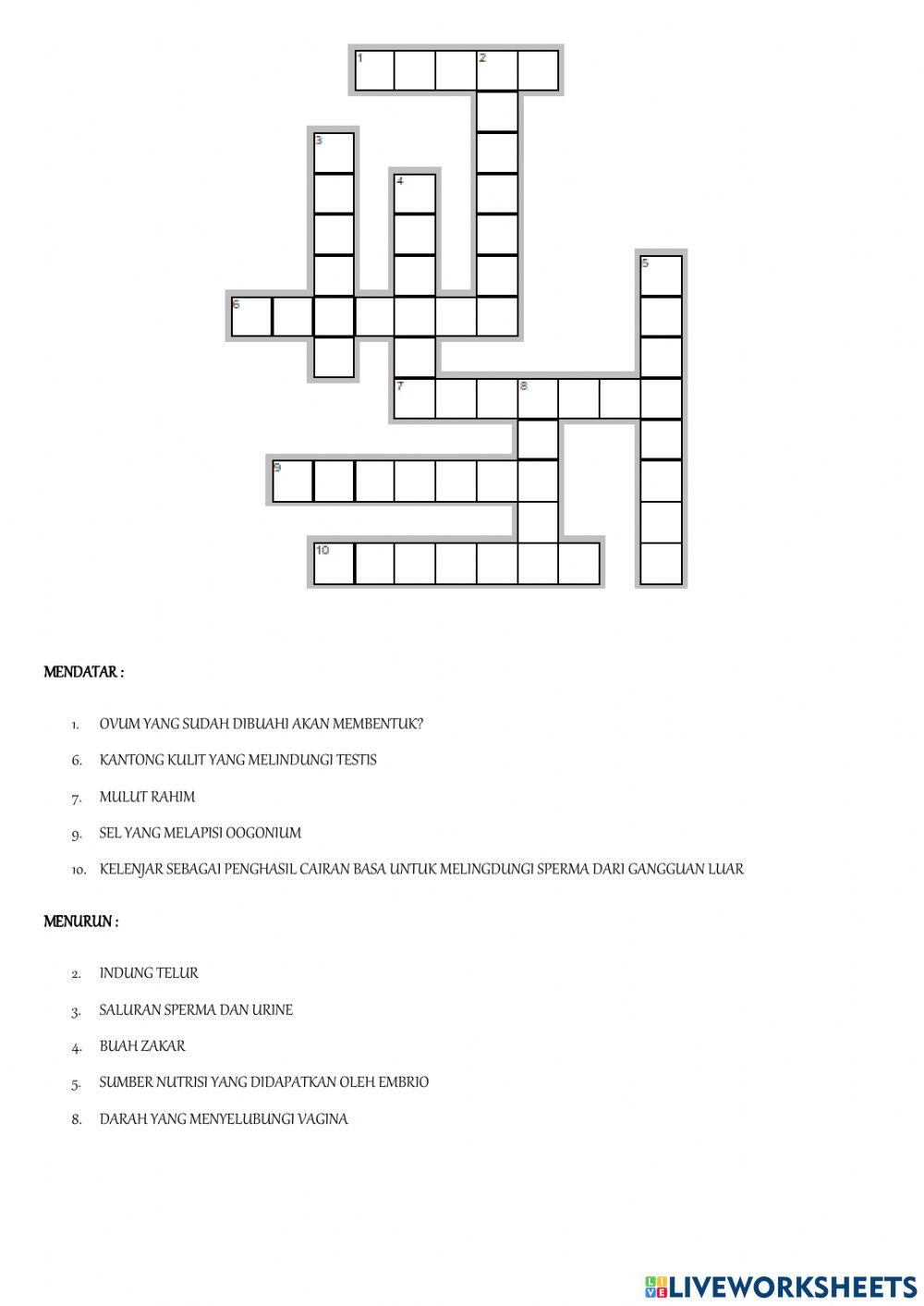 TTS sistem reproduksi manusia