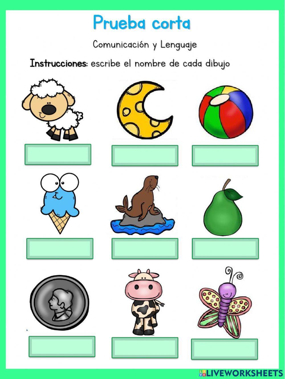 Prueba corta comunicación y lenguaje