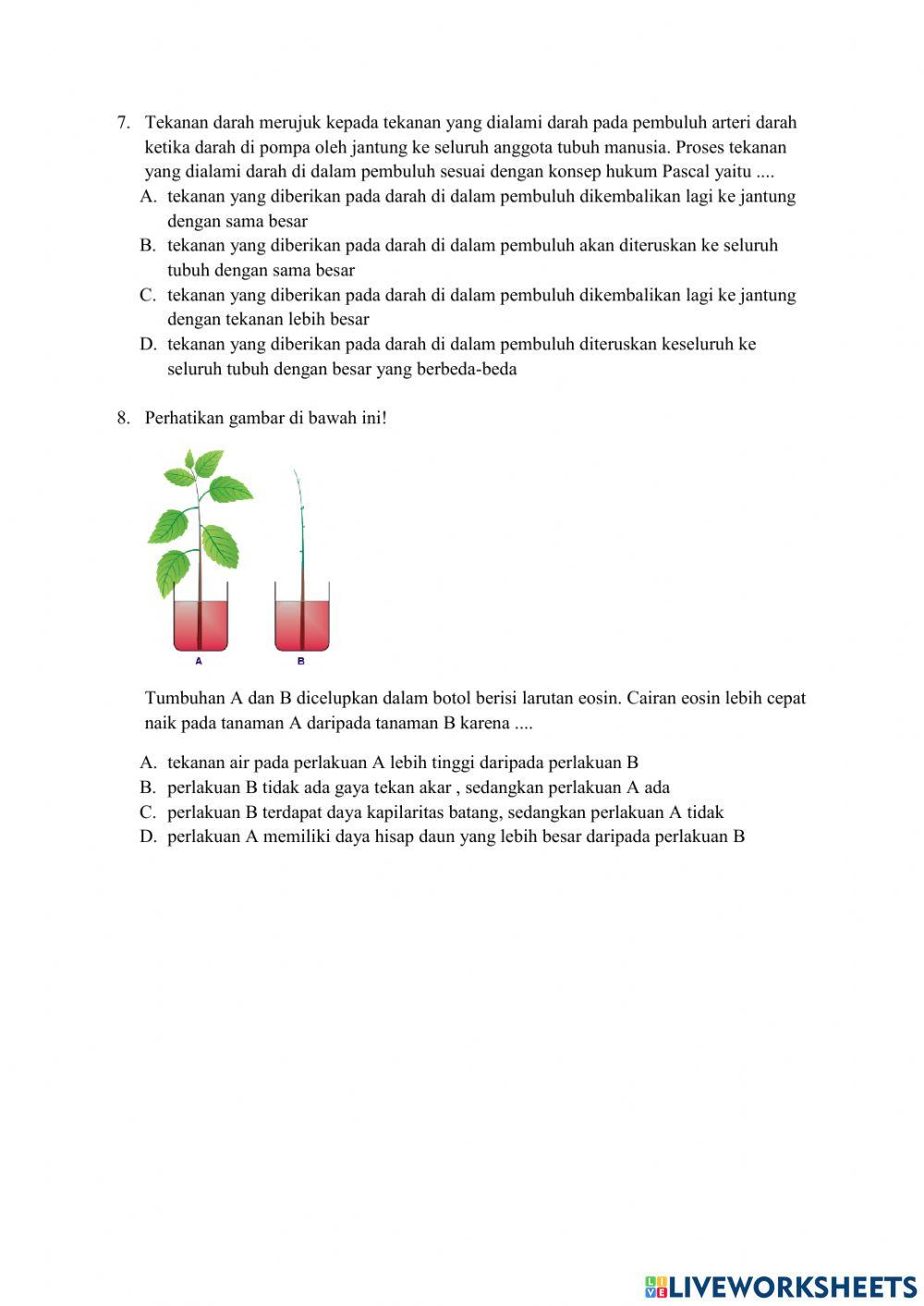Uji Kompetensi Materi Tekanan Zat