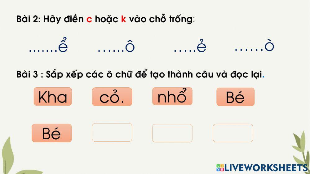 Bài tập Ôn tập