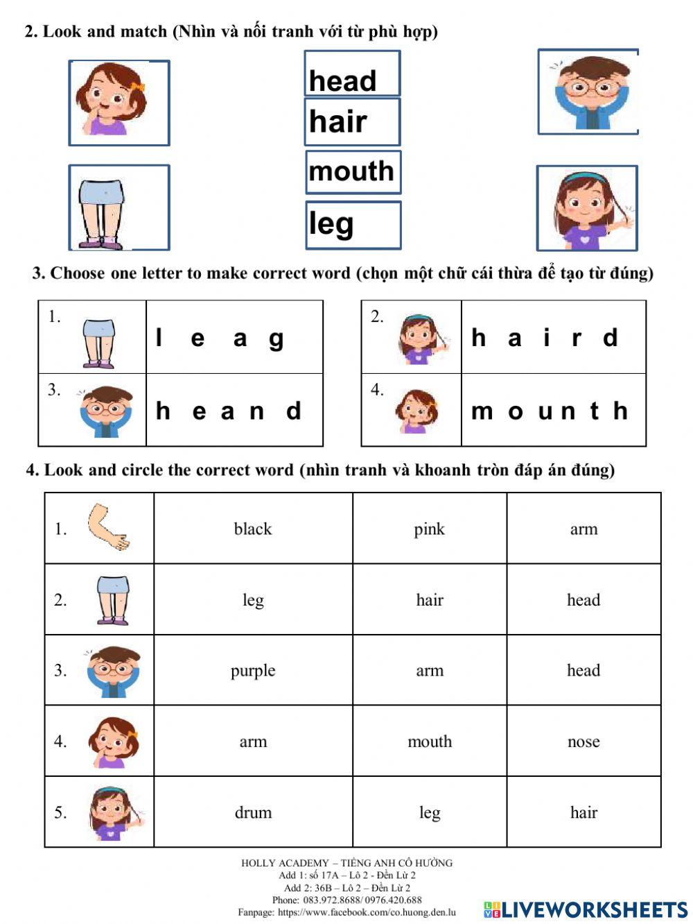 Ice-cream WS 8-body parts 17-10