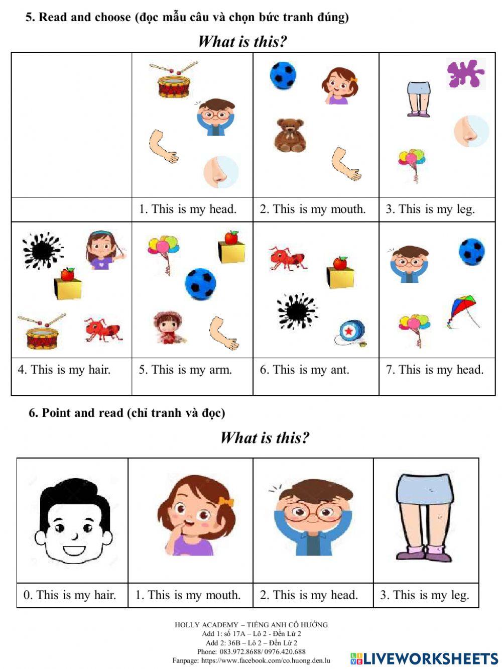 Ice-cream WS 8-body parts 17-10