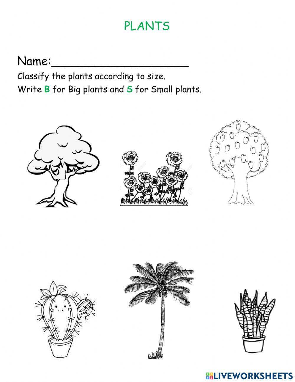Plant Classification Worksheet Live Worksheets 45 OFF plant-classification-worksheet-live-worksheets-45-off