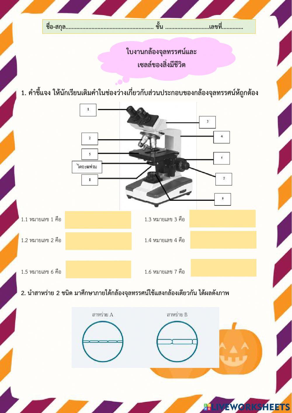 เซลล์์ของสิ่งมีชีวิต