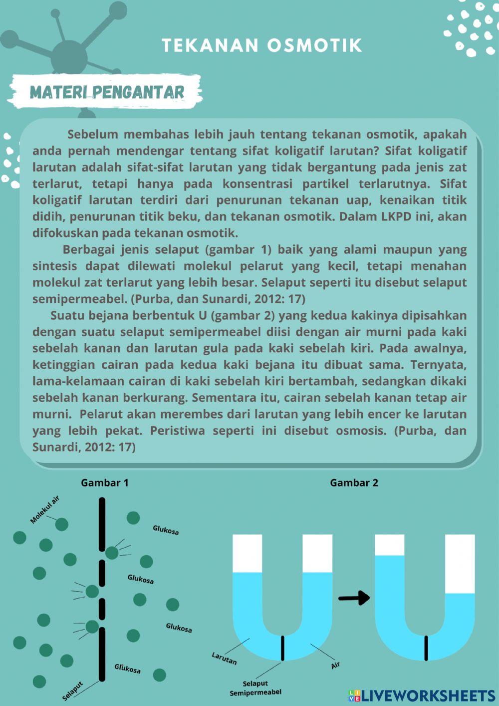 Home Experiment (Tekanan Osmotik)