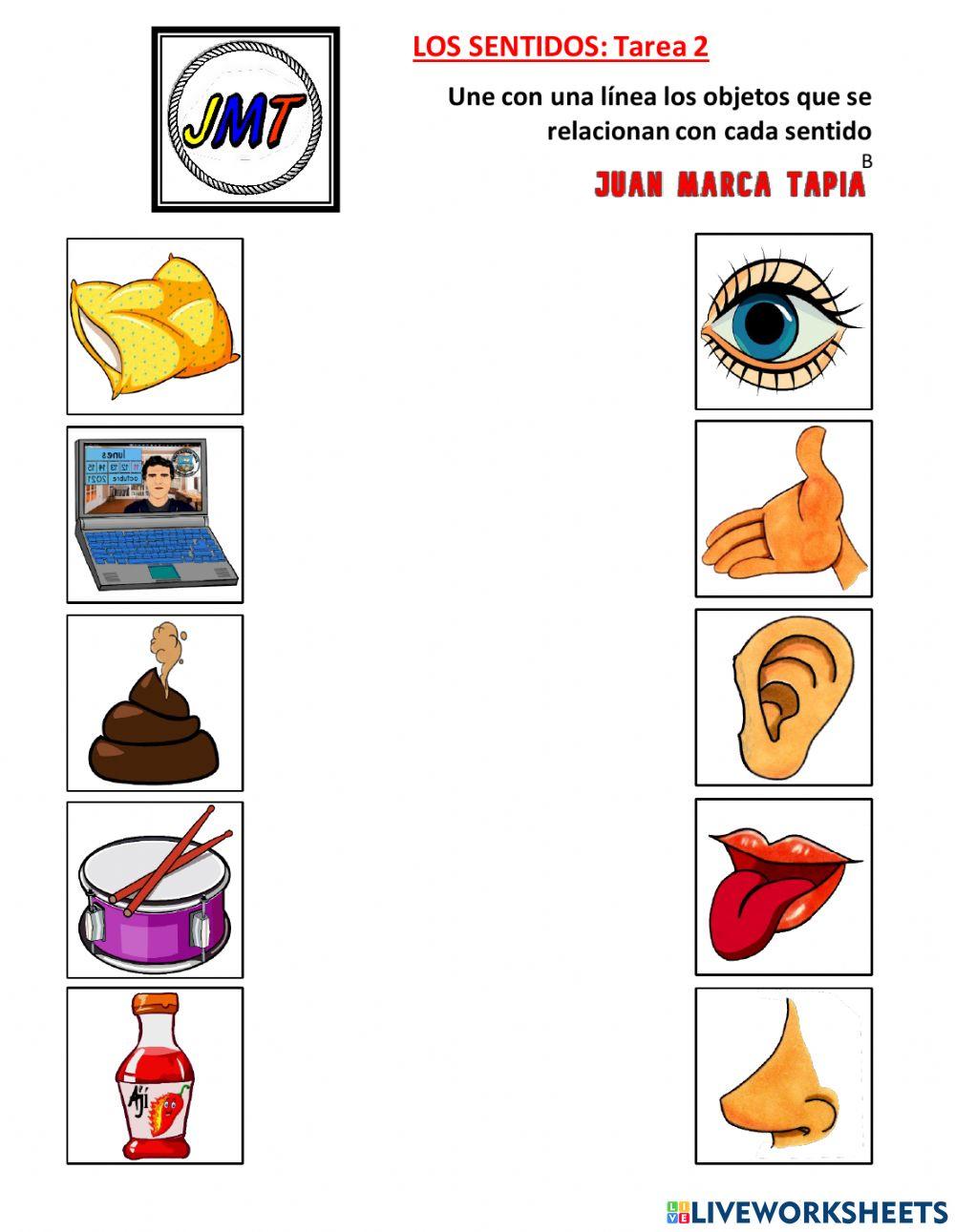 Los Sentidos: Tarea 2. Correspondencia