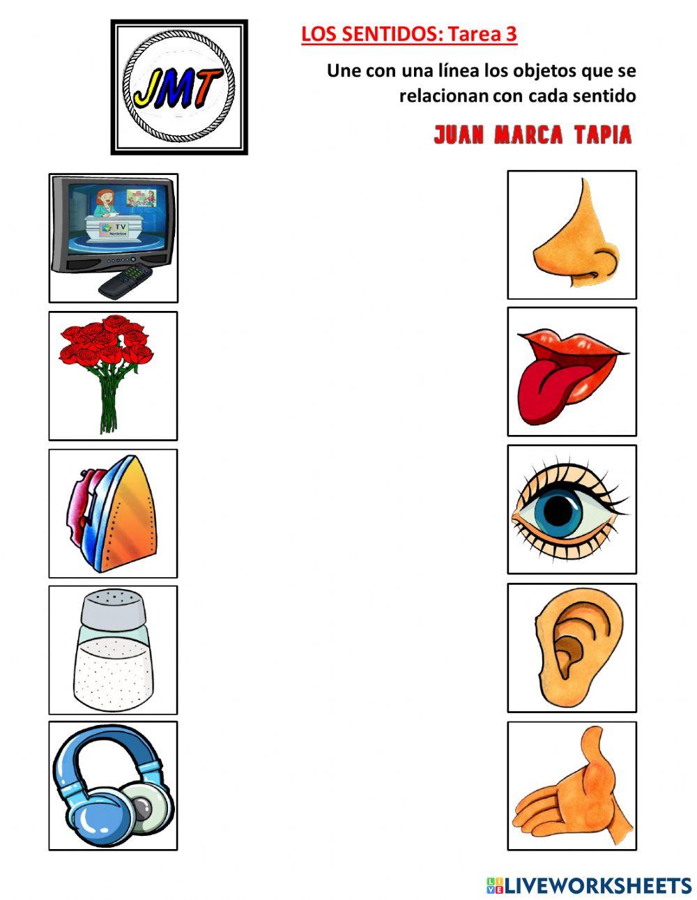 Los Sentidos: Tarea 3. Correspondencia