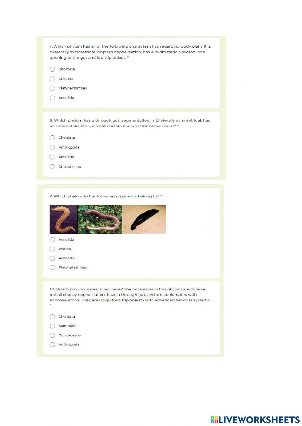 Gr 11 Animal diversity