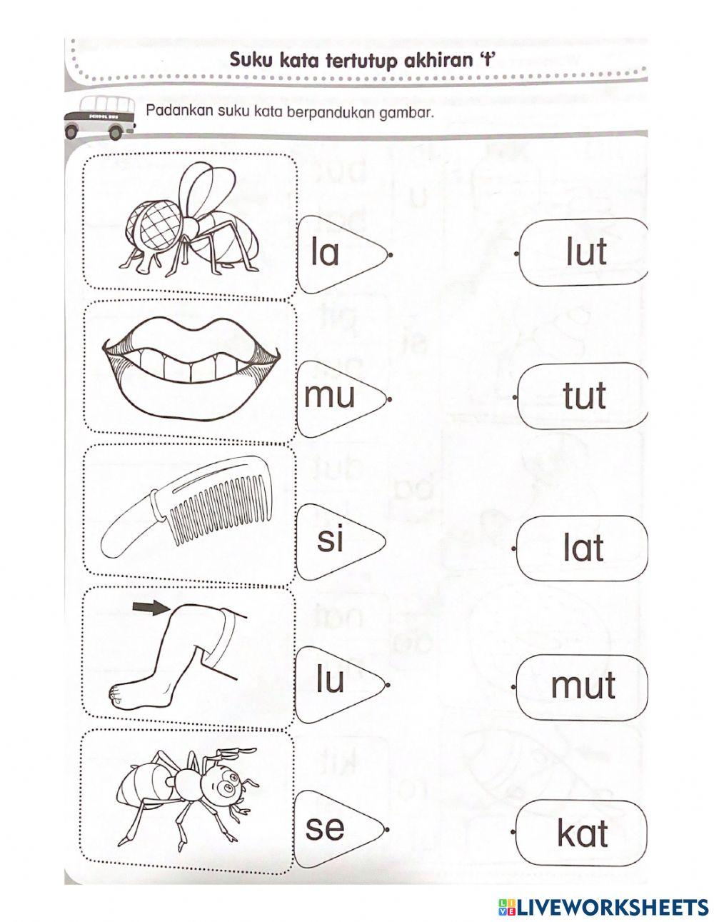 Suku kata akhiran -t- worksheet | Live Worksheets