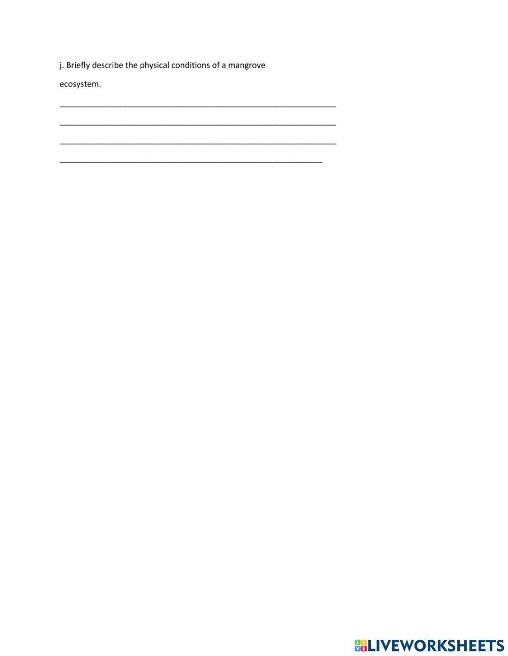Mangrove Worksheet