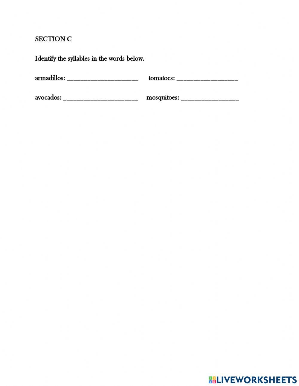 Spelling Plural words that end with 'o'