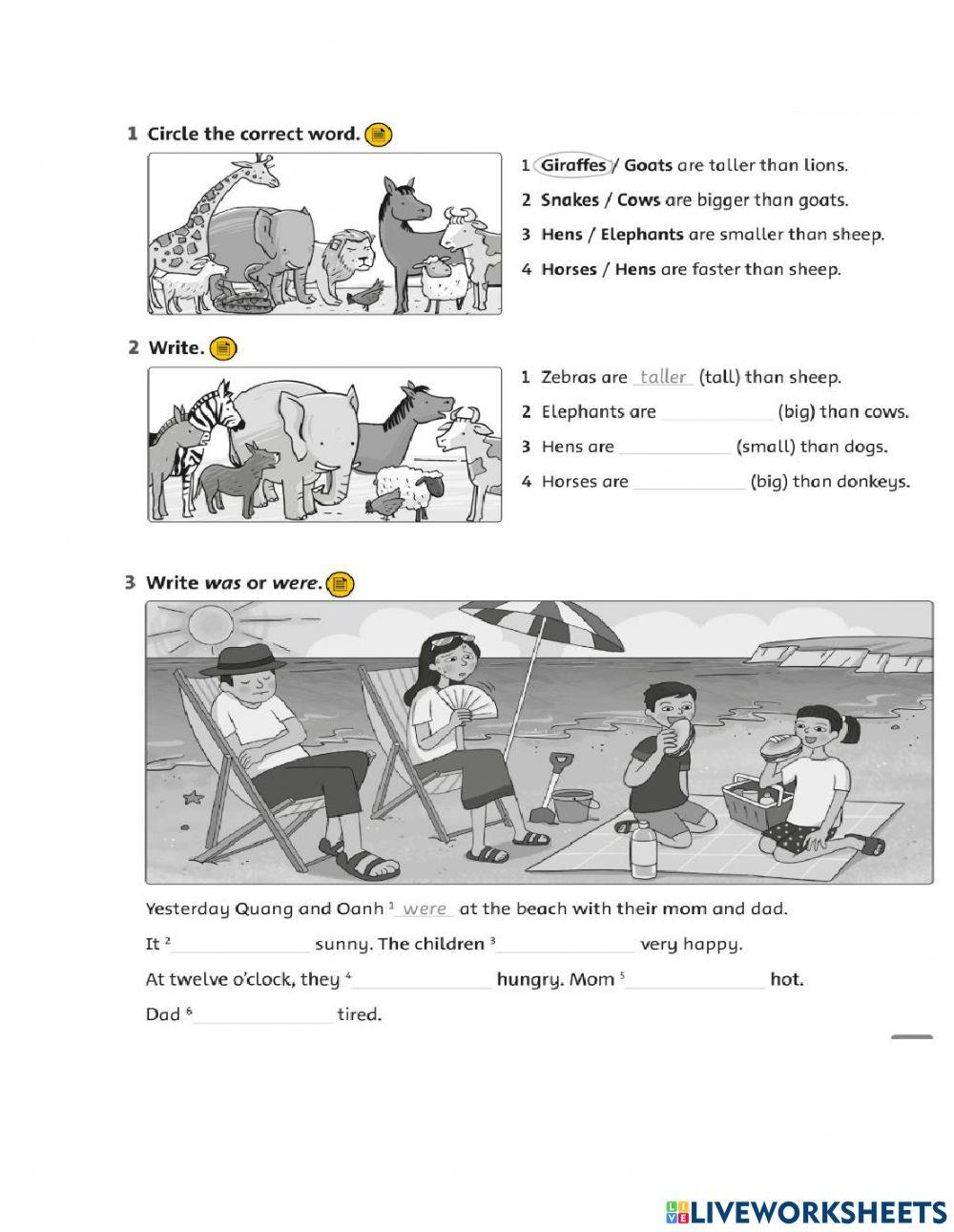 Starter lesson 1,2,3,4