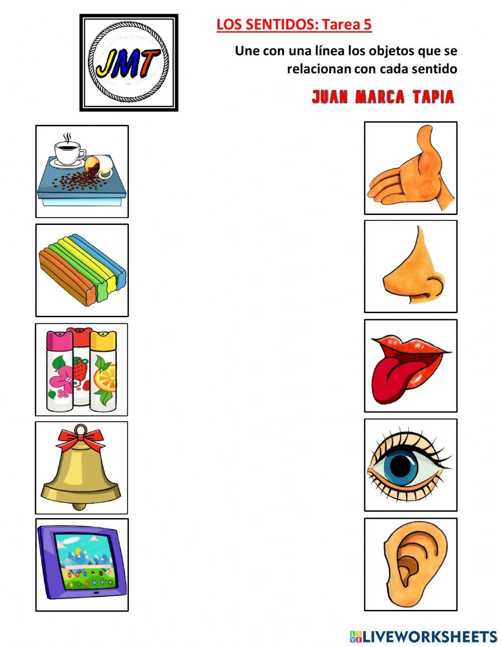 Los Sentidos: Tarea 5. Correspondencia