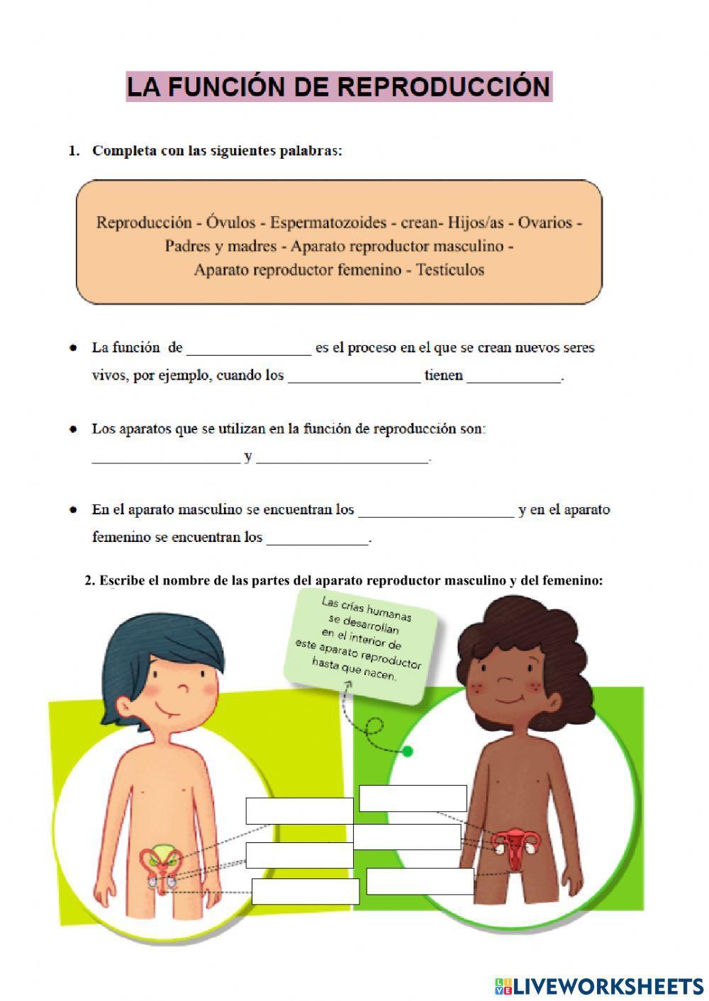 Función de reproducción