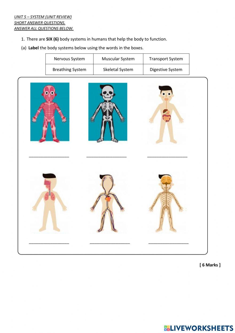 Science - human body systems