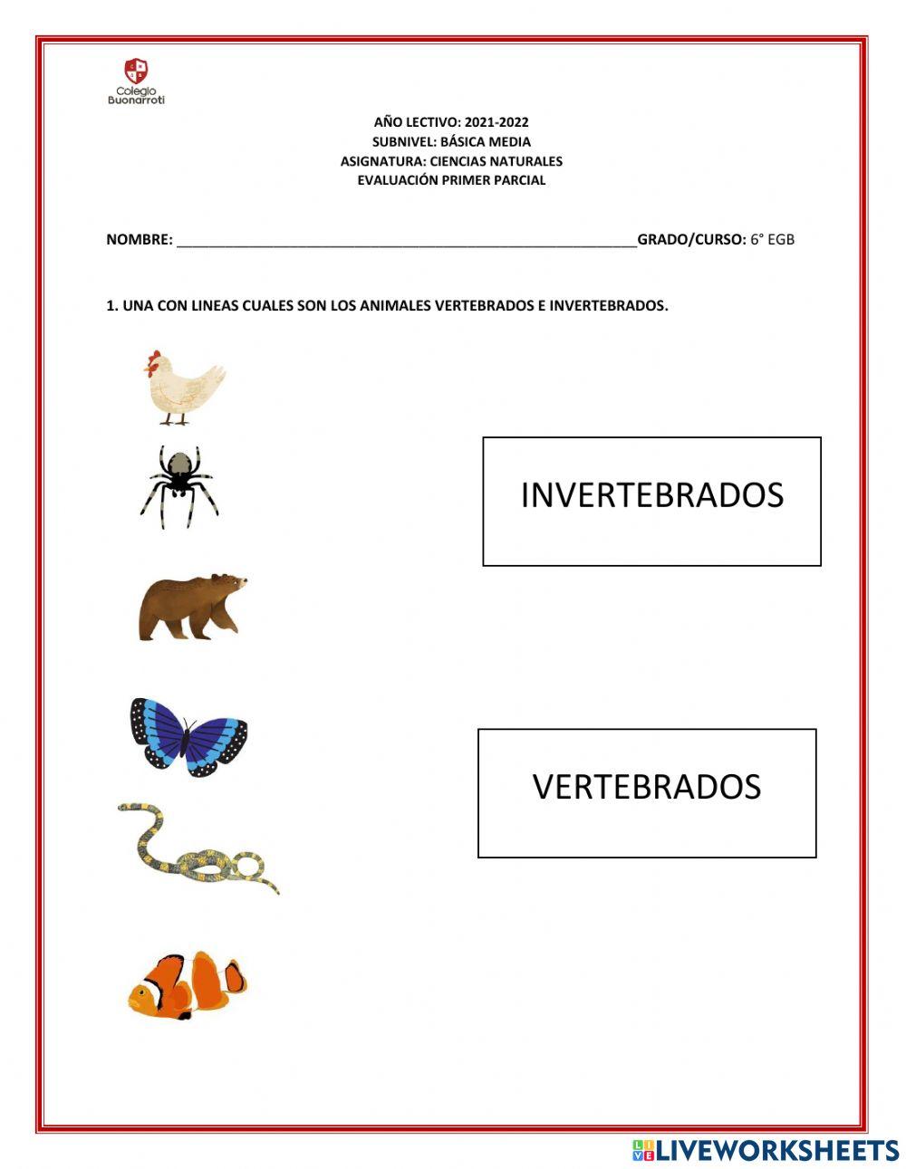 Evaluacion del primer parcial 6 egb