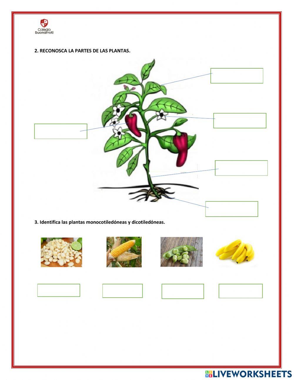 Evaluacion del primer parcial 6 egb