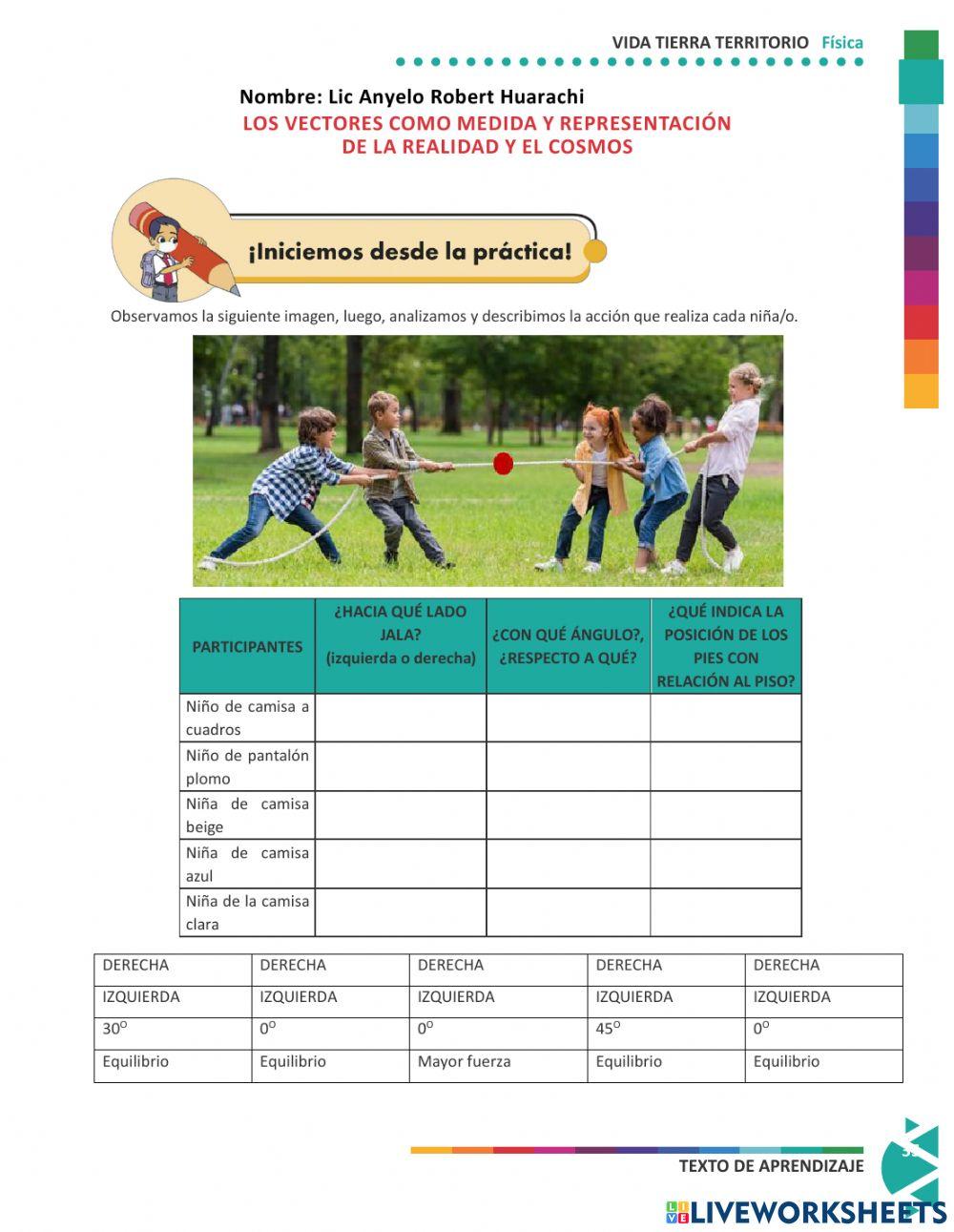 Vectores - vida cotidiana