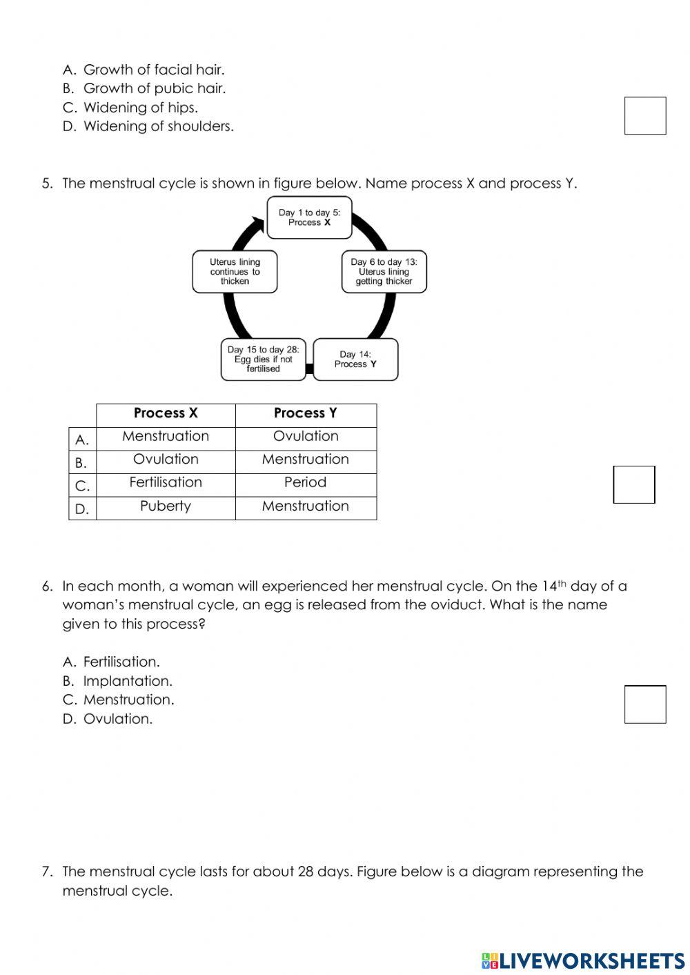 Yr 8 Sexual Characteristics -  Menstrual Cycle