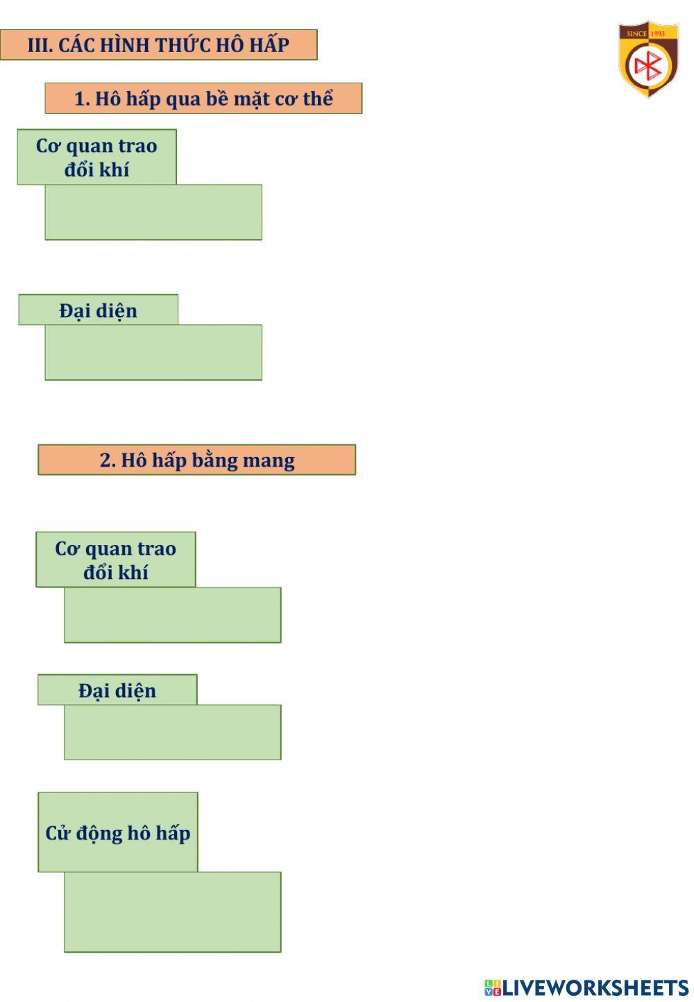 Bài 17 sinh học 11