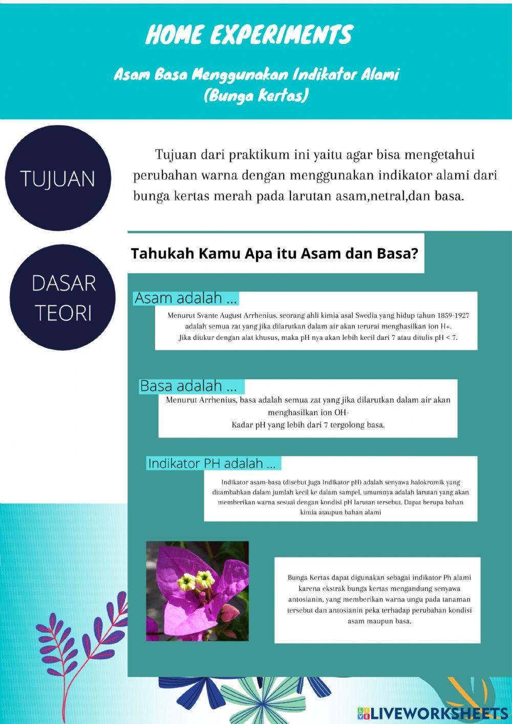 Home Experiments Asam Basa Menggunakan Indikator Alami