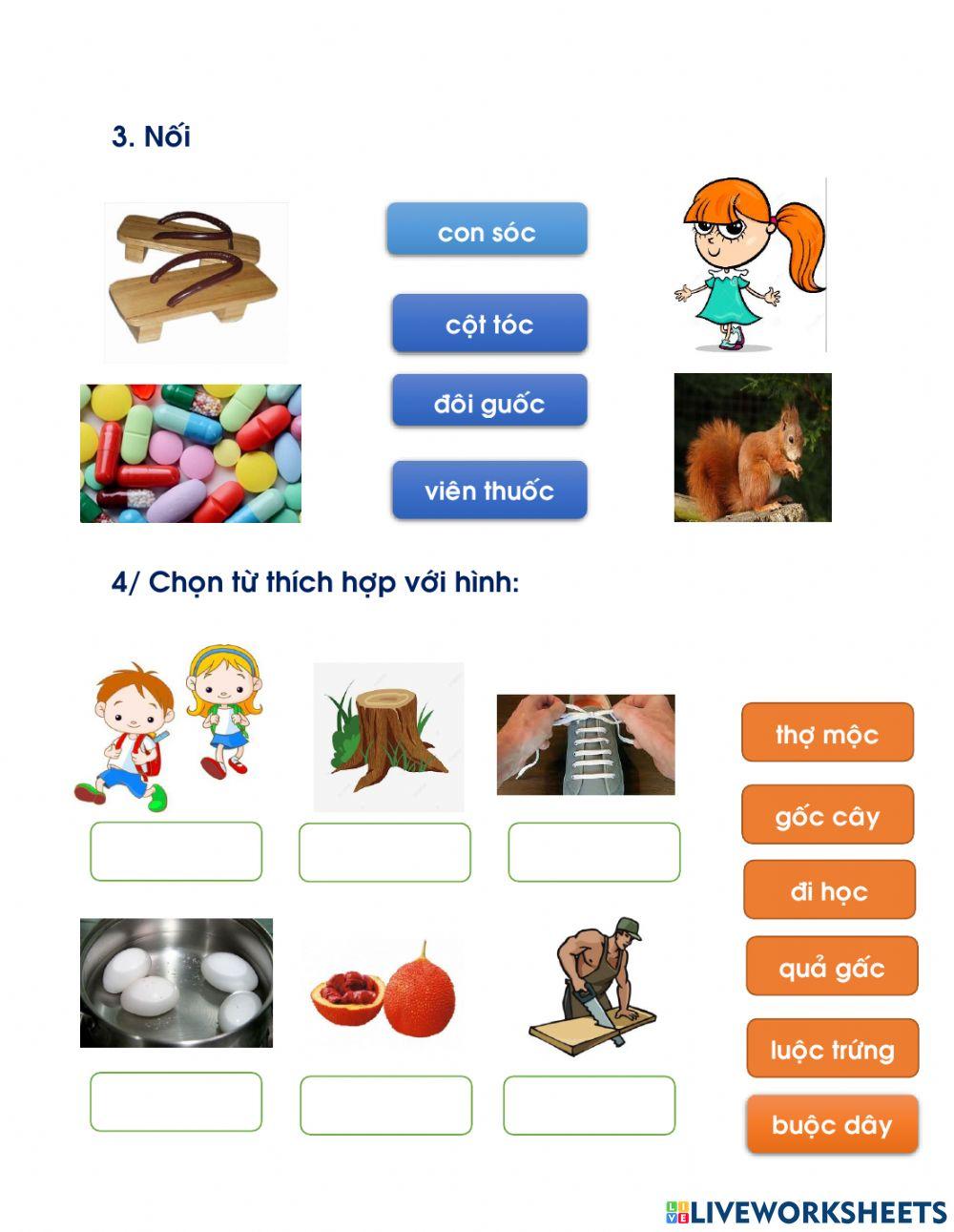 Bài ôn tập nhóm vần oc ôc uôc