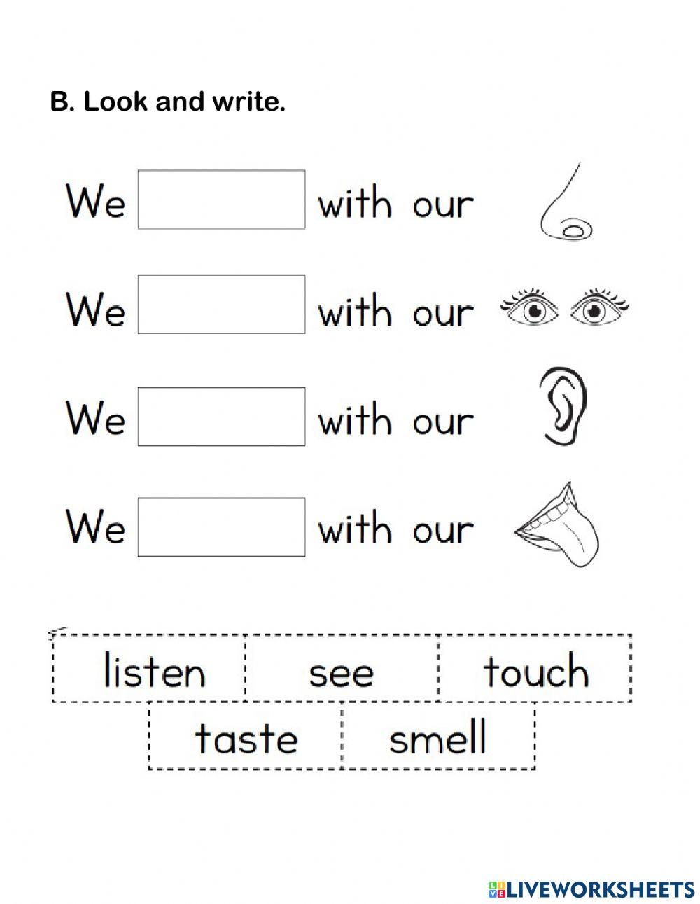 KINDY 2B UNIT 6 SENSES