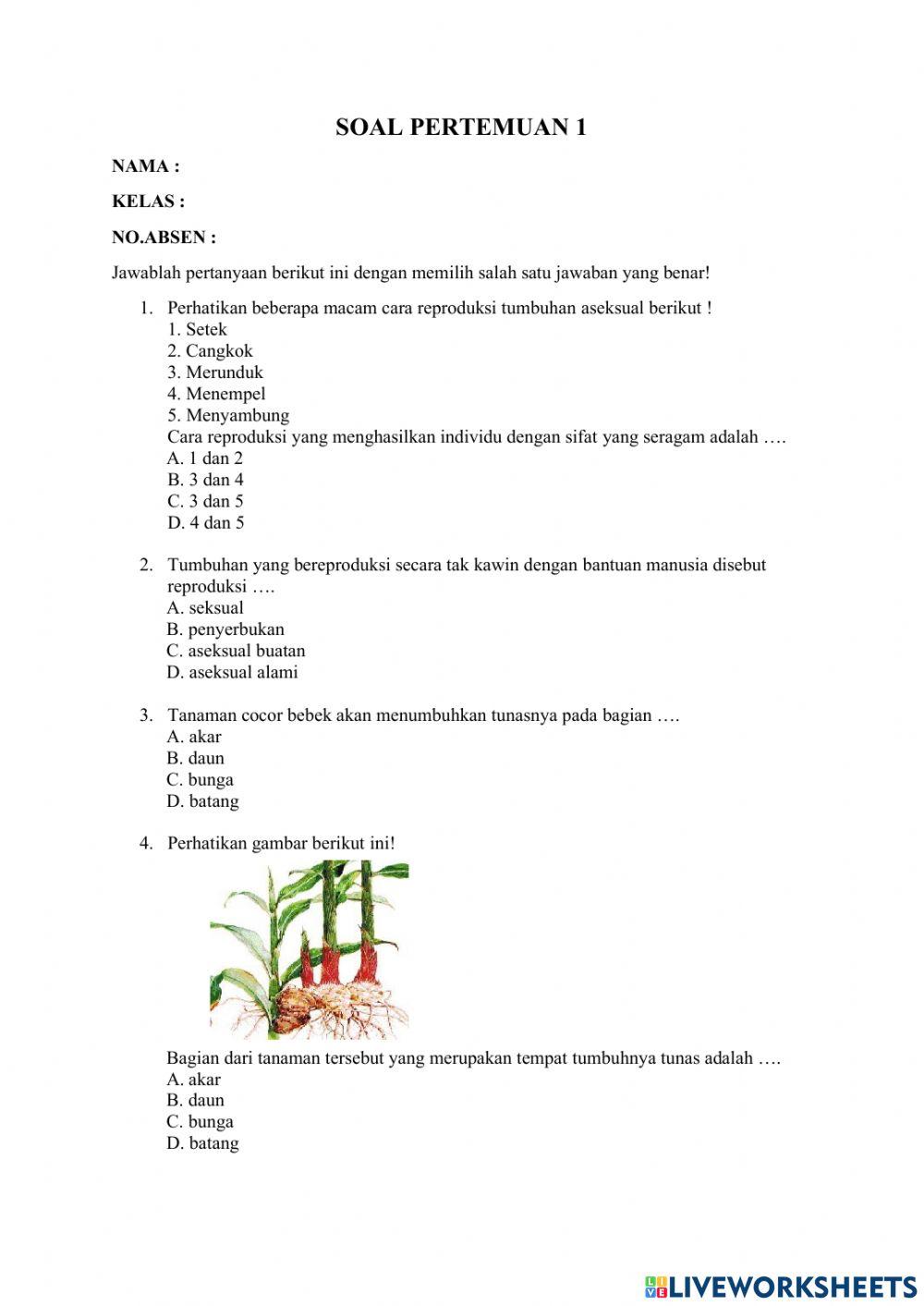 Penilaian pertemuan 1