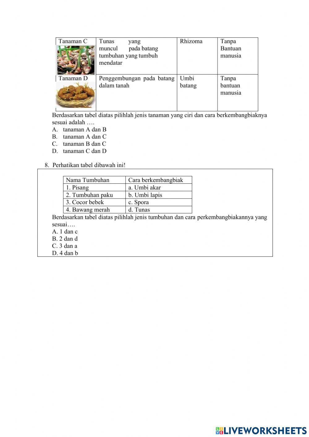 Penilaian pertemuan 1