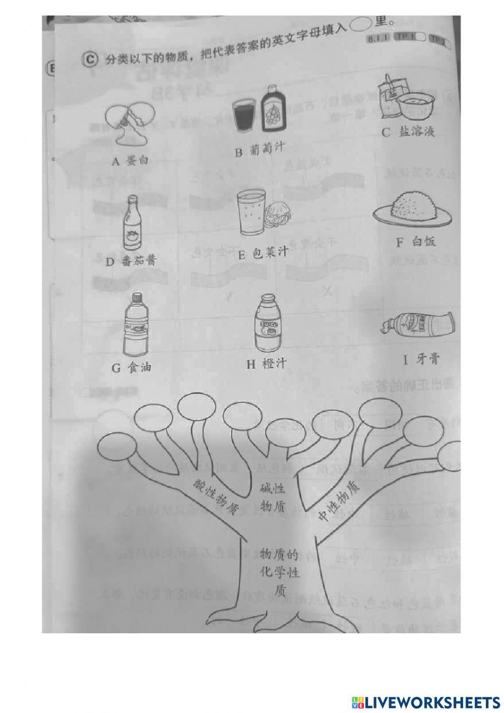 三年级科学 评估9
