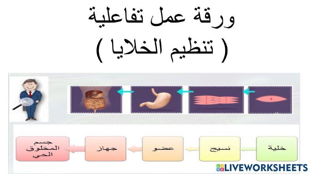 ورقة عمل تنظيم الخلايا