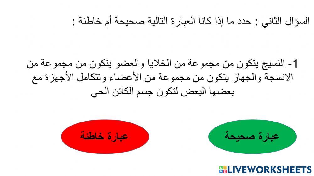 ورقة عمل تنظيم الخلايا