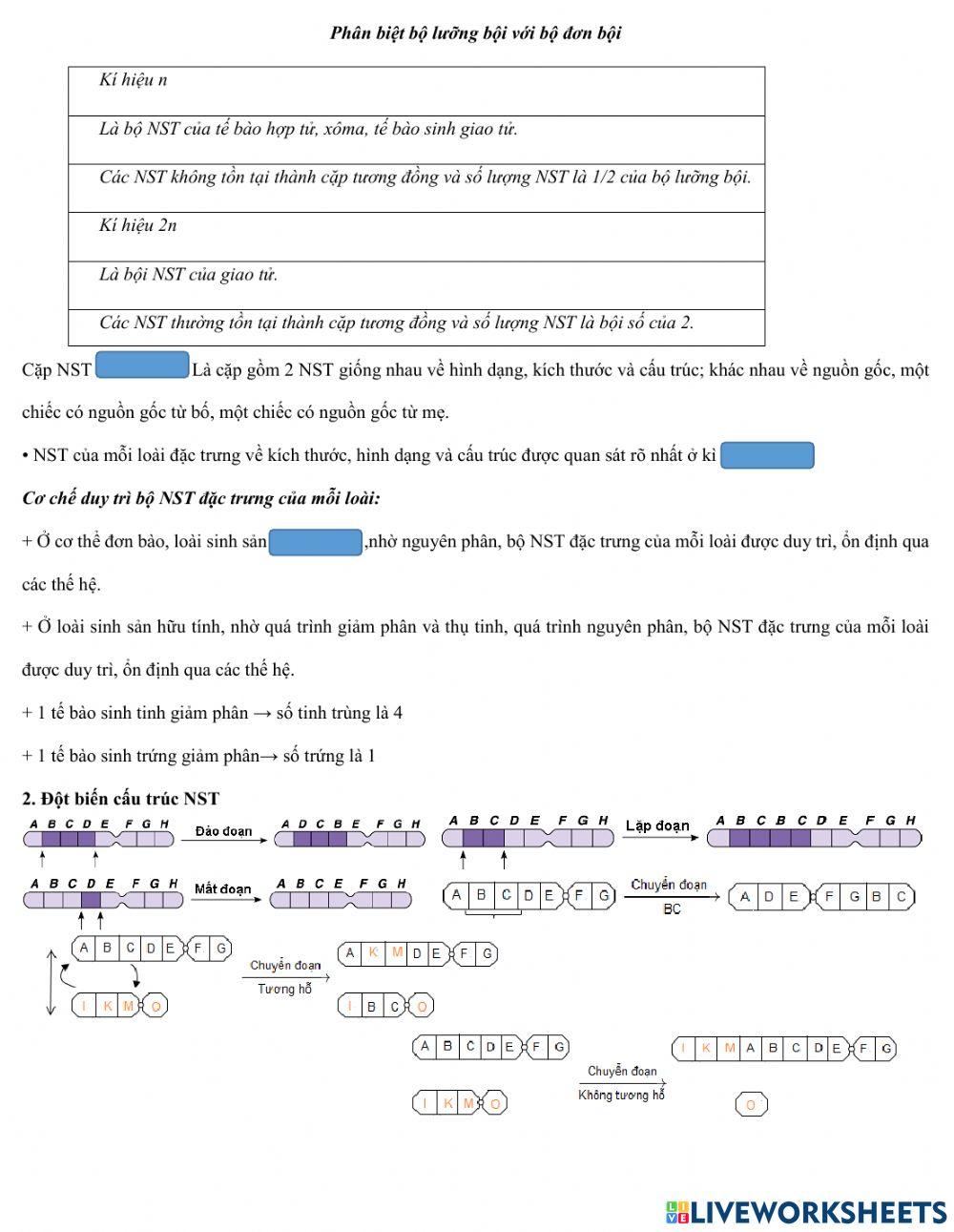 Phiếu học tập bài 5: nhiễm sắc thể và đột biến cấu trúc nst