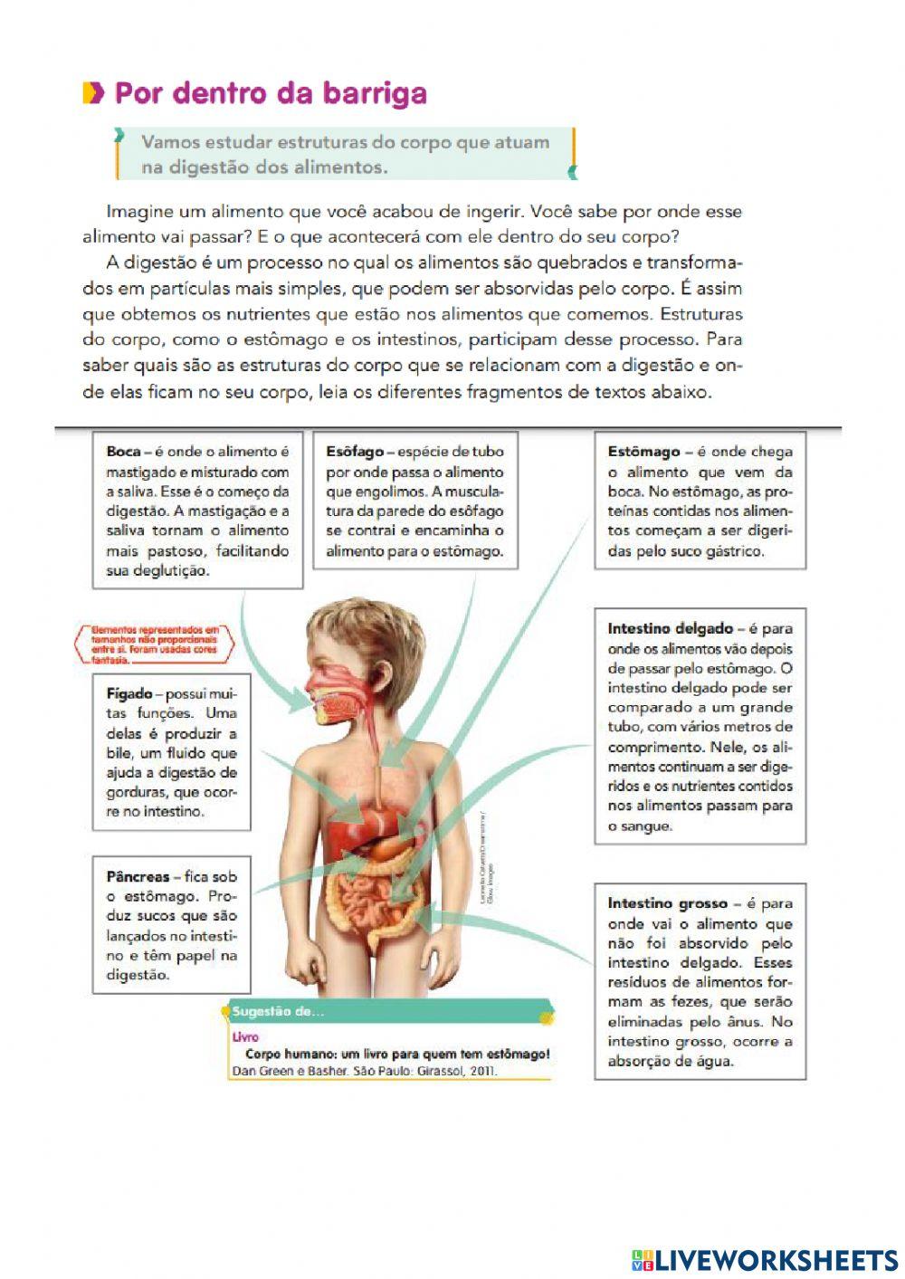 Aparelho digestório